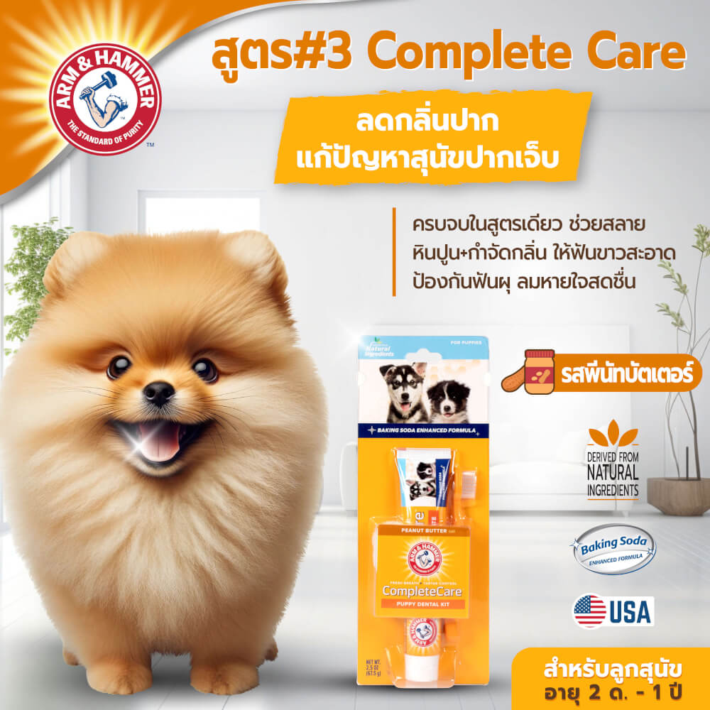 ชุดยาสีฟันสำหรับลูกสุนัข ARM AND HAMMER FB รสพีนัทบัตเตอร์ ขนาด 67.5 กรัม